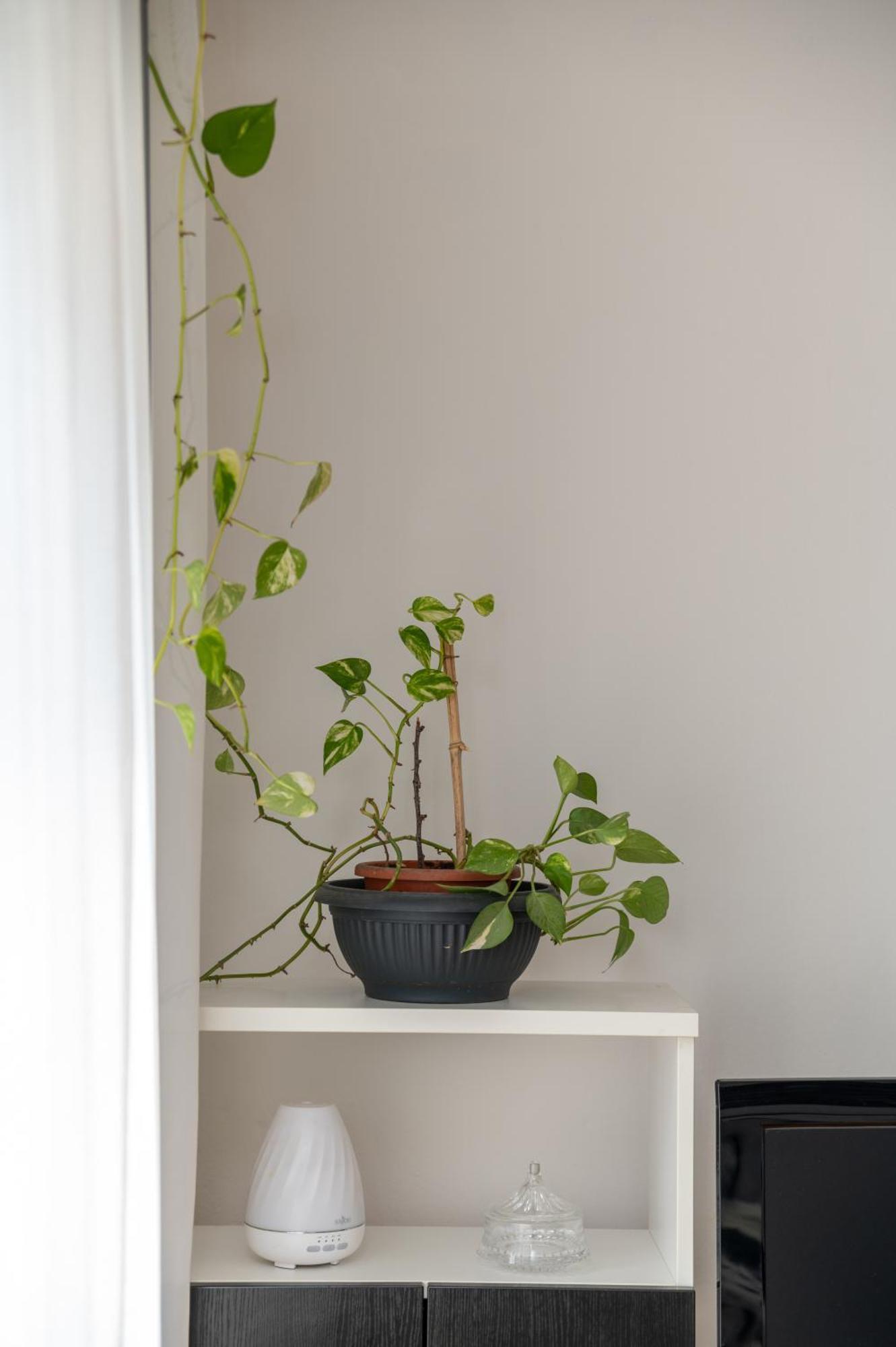 Apartman Milijana Fažana Buitenkant foto